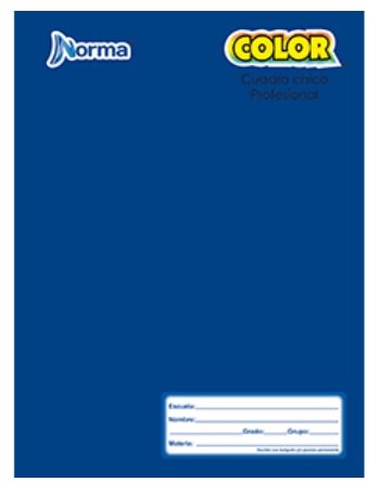 CUADERNO PROFESIONAL COSIDO NORMA CUADRO CHICO 100 H