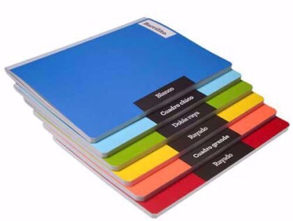 CUADERNO PROFESIONAL COSIDO BARRILITO DOBLE RAYA 100