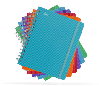 CUADERNO PROFESIONAL ARCOIRIS PRINTAFORM CUADRO CHICO 100 HOJAS