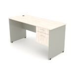 ESCRITORIO LOGAN ECO1 CON PEDESTAL MEDIDAS 120X60CM