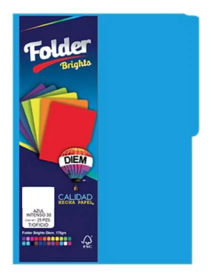 FOLDER DIEM OFICIO AZUL 15