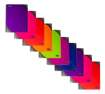 CUADERNO PROFESIONAL NORMA UNO RAYA 100H