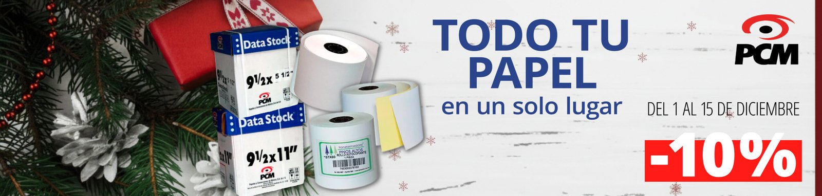 Copia de web abajo BOLINKA DIC V02